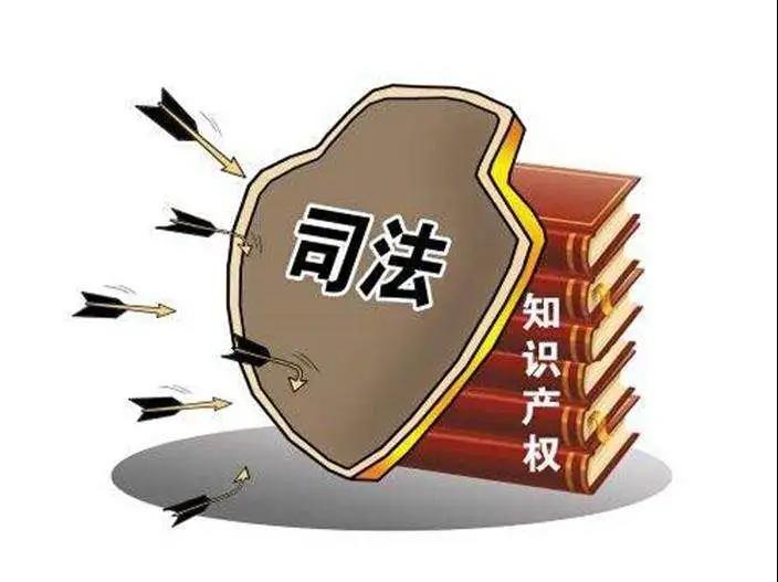 蓉创智汇总经理谭新民受聘担任“成都市知识产权纠纷人民调解专家”